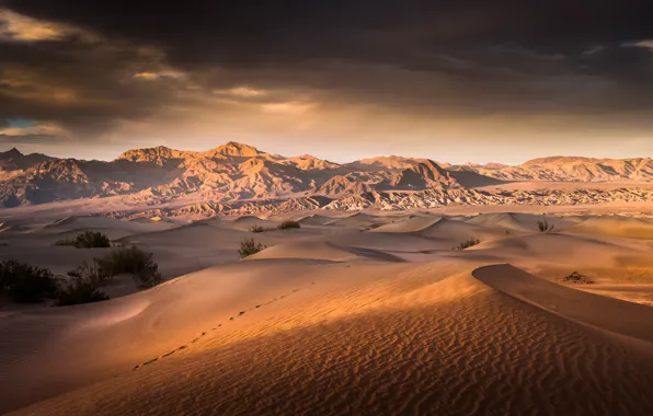 Picture desert, CA, USA, Death Valley