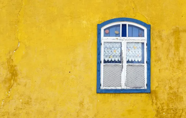 Picture house, wall, window