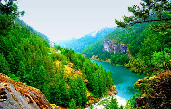 Trees, landscape, mountains, lake