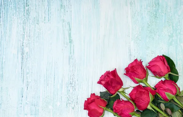 Flowers, bouquet, Pink, Roses, LAIMDOTA GRIVANE
