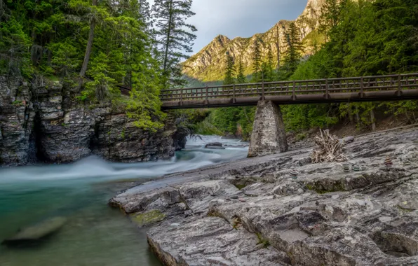 Trees, mountains, bridge, river, stream, Montana, Glacier National Park, Rocky mountains