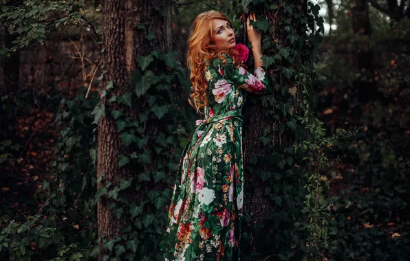 Look, girl, trees, dress, red, curls