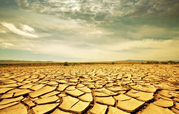 Picture sand, cracked, drought, Savannah, Africa, landscape, Savanna, drought