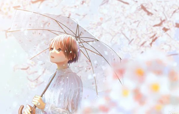 Girl, spring, umbrella, Sakura