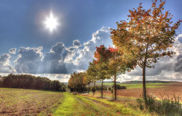 Picture road, autumn, the sky, grass, the sun, clouds, rays, trees
