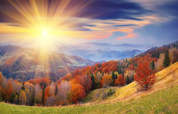 Picture autumn, the sky, the sun, clouds, rays, trees, hills, foliage