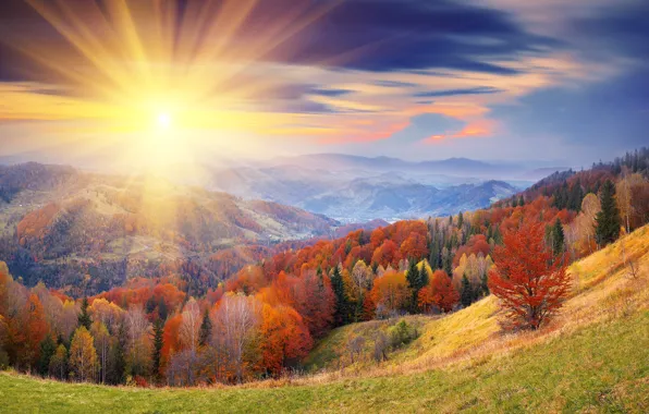 Autumn, the sky, the sun, clouds, rays, trees, hills, foliage