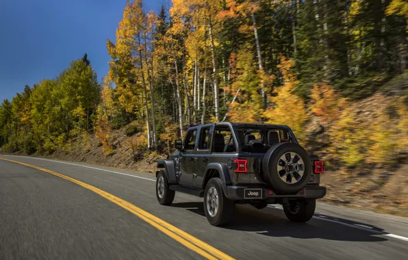 Trees, roadside, rear view, 2018, Jeep, dark gray, Wrangler Sahara