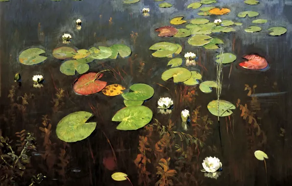 Leaves, water, flowers, nature, lake, pond, Lily, painting