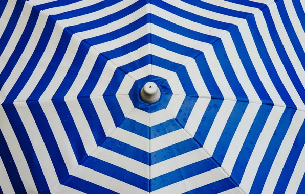 Umbrella, geometry, blue color