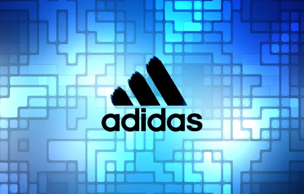 Picture blue, Adidas, Adidas