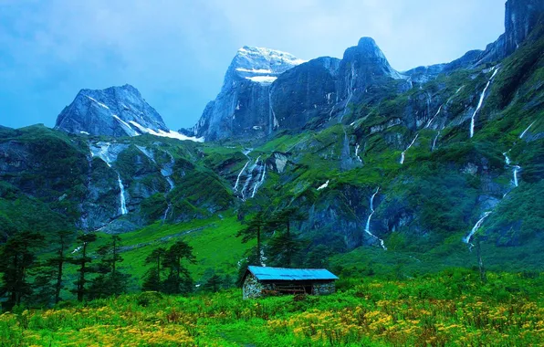 Trees, mountains, nature, glade, house, path
