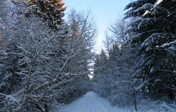 Picture winter, road, snow, landscape