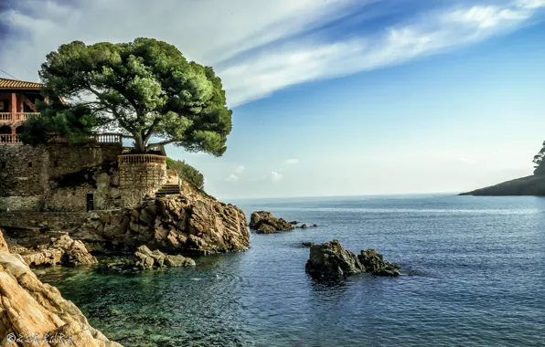 Picture sea, the sky, house, stones, tree, shore, horizon, Spain