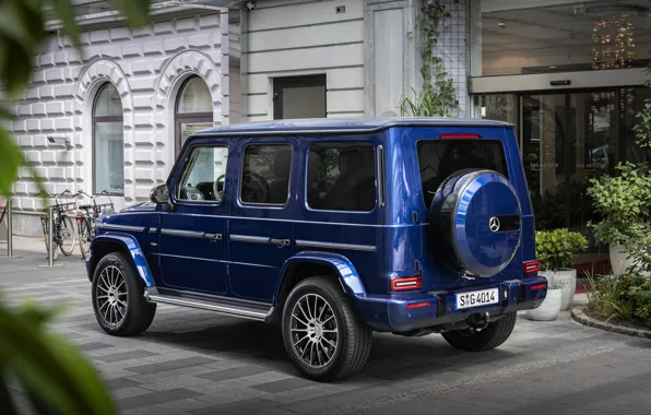 Picture blue, Mercedes-Benz, SUV, entrance, G-Class, 2019