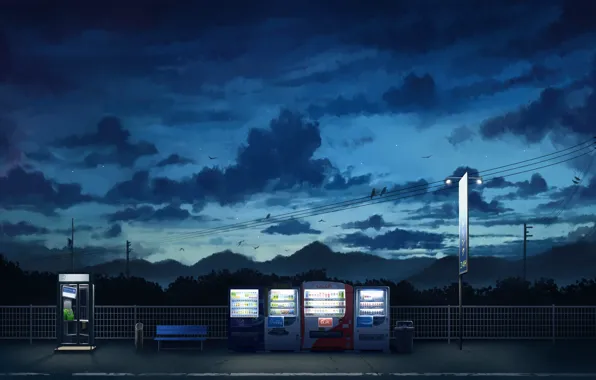 The sky, birds, shop, twilight, machines, urns