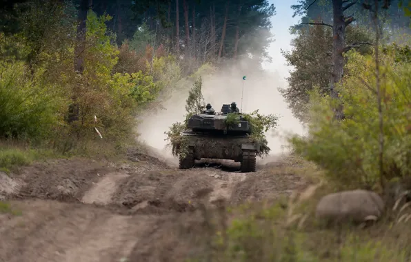 Road, forest, tank