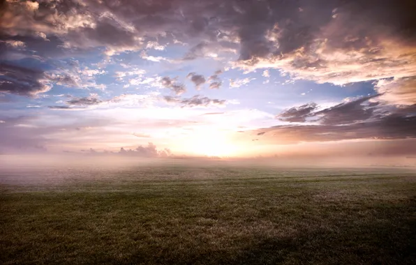 The sky, grass, clouds, fog, morning