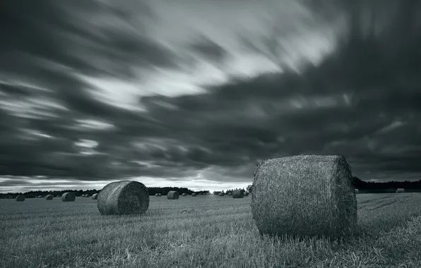 Picture field, landscape, night, hay