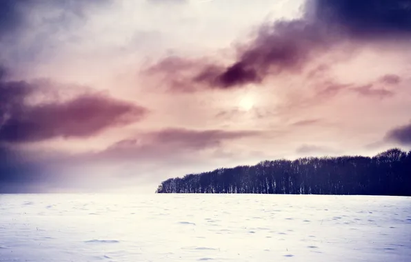 Winter, landscape, nature