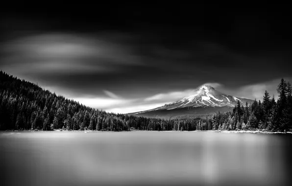 Forest, lake, mountain, black and white photo, Trillium Lake