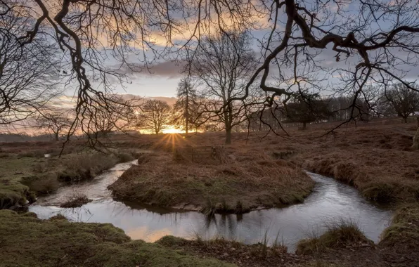 Autumn, trees, sunset, river