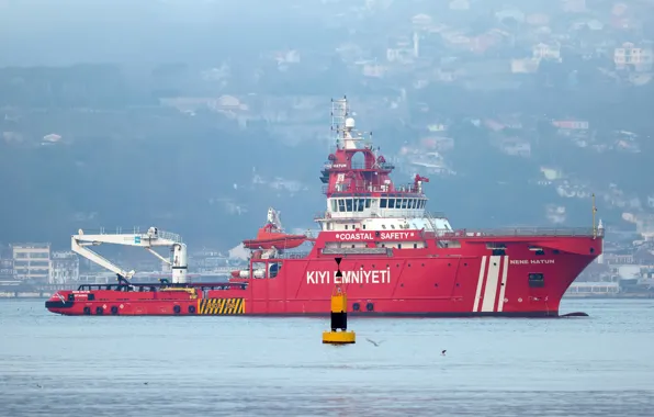 Turkey, the ship, rescue, Nene Chick, search engine