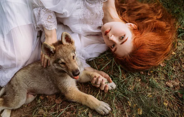 Picture look, girl, face, pose, hair, dog, puppy, red