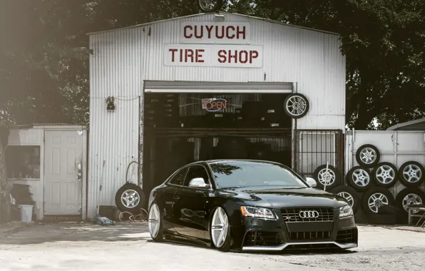 Picture Audi, Auto, The fence, Trees, Tuning, Machine, Landing, Service