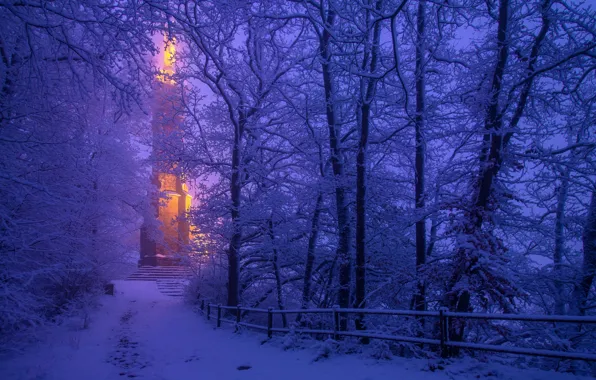 Winter, snow, trees, Germany, Germany, Trier, Trier, St Mary's Column