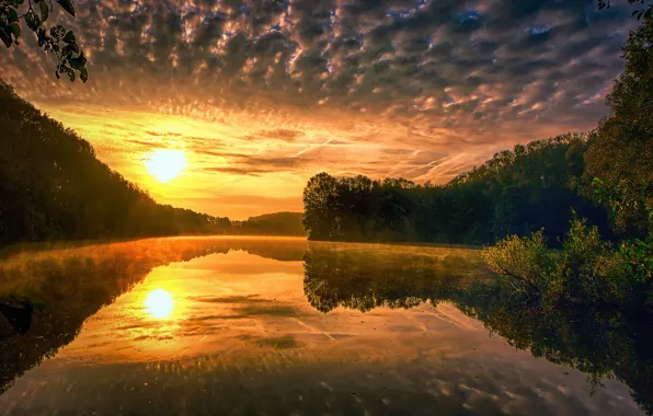 The sky, the sun, clouds, trees, sunset, nature, lake, reflection