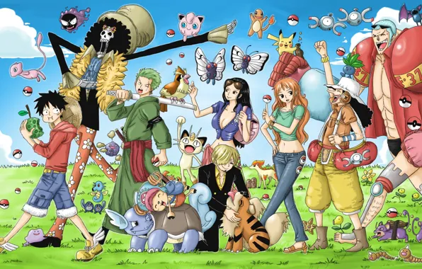 Sake, game, Chopper, One Piece, pirate, nothing, anime, brook