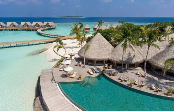 Palm trees, the ocean, island, pool, The Maldives, resort, Laguna, Maldives