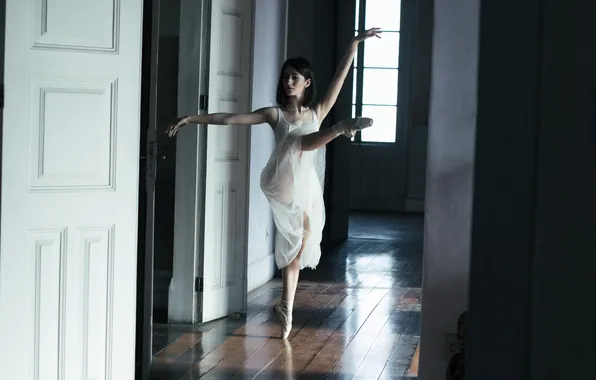 Girl, pose, dress, ballerina, Pointe shoes