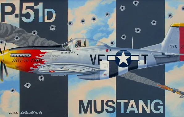 Mustang, fighter, P-51D, single