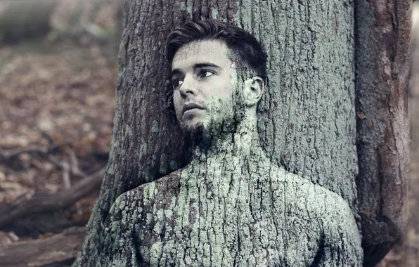 Picture background, tree, guy