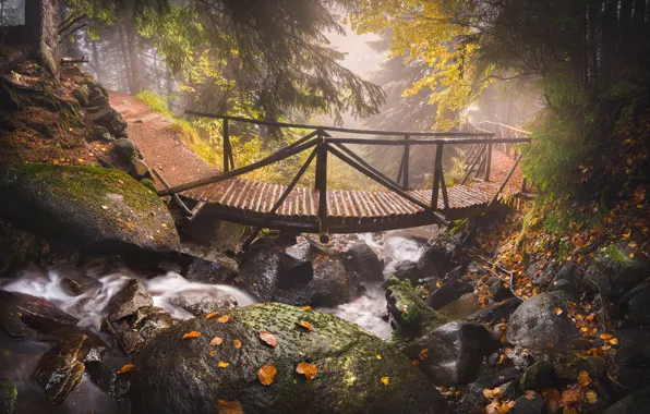 Picture autumn, leaves, trees, mountains, nature, stream, stones, track