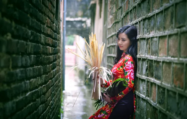 Picture girl, wall, Asian