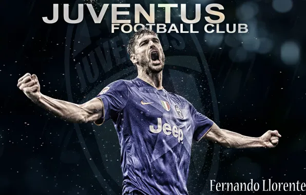 Passion, Juventus, Fernando Llorente, Spanish football player