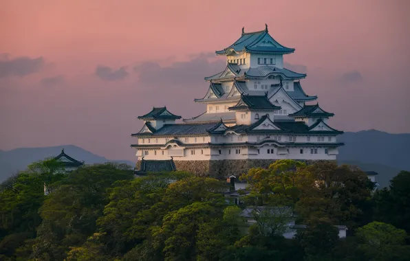 Picture the sky, clouds, trees, the evening, Japan, Palace
