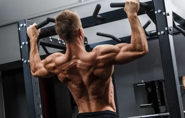 Back, muscle, muscle, Back, the horizontal bar, workout, gym, gym