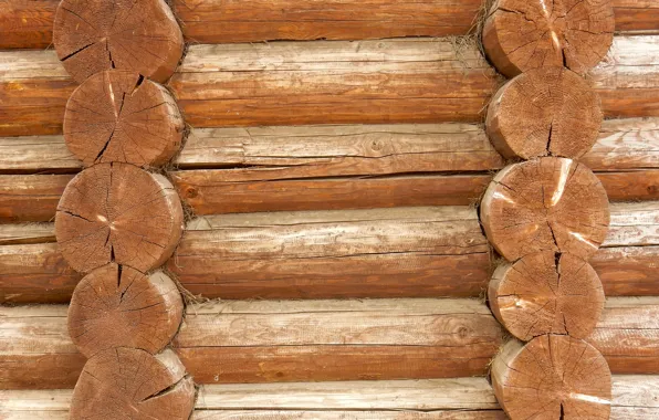 Background, wall, widescreen, Wallpaper, texture, wallpaper, log, widescreen
