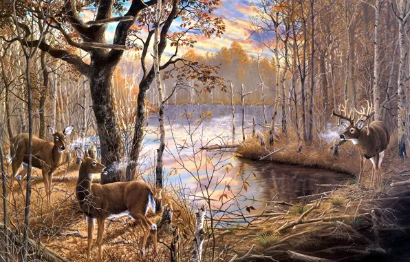 Autumn, forest, branches, figure, picture, art, three, painting