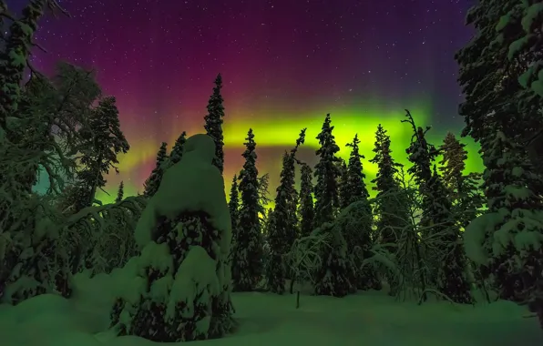 Picture winter, snow, night, lights, Northern lights, North