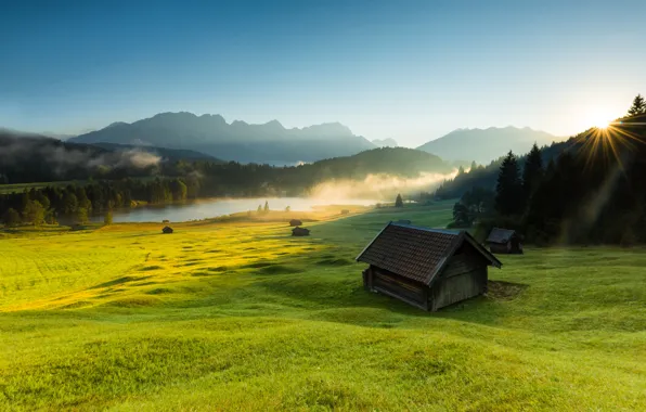 Greens, field, forest, the sky, grass, the sun, rays, landscape