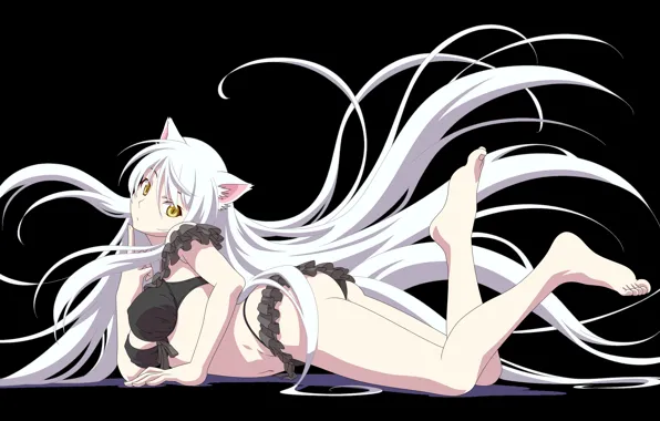 Girl, lies, Bakemonogatari