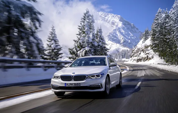 Picture white, trees, movement, BMW, sedan, hybrid, 5, four-door