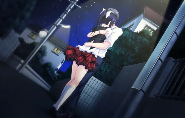 Wallpaper hugs, lights, date, on the street, visual novel, starry night