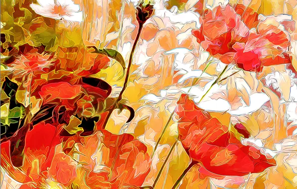 Picture field, flowers, nature, petals, meadow