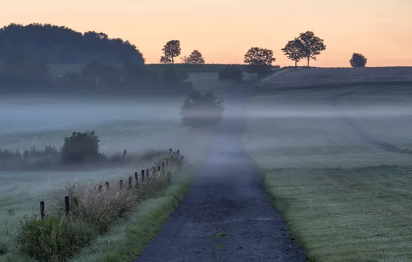 Road, field, fog